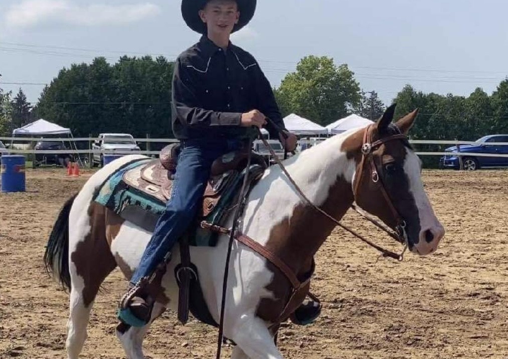 Horses & Tack Kalona Sales Barn