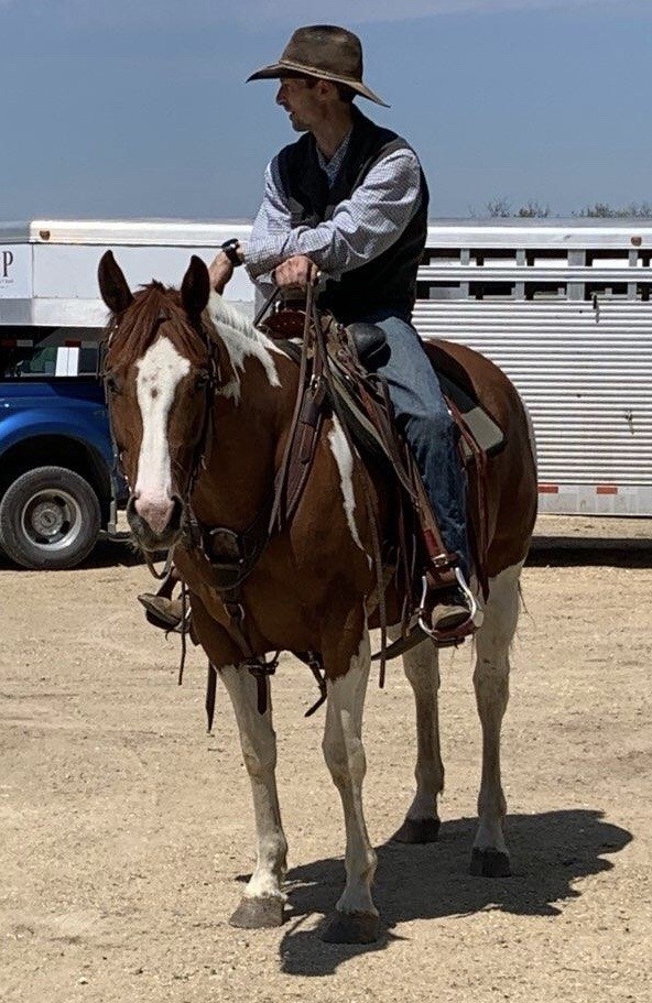 Horses & Tack Kalona Sales Barn