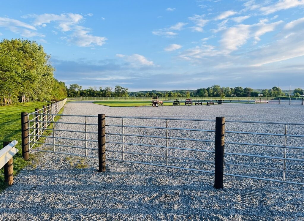 Horses & Tack Kalona Sales Barn